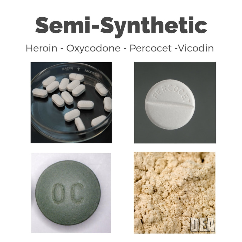 Semi Synthetic Opioids